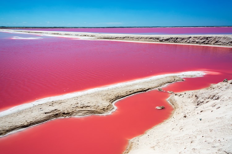 De Pink Lakes van Las Coloradas, Mexico